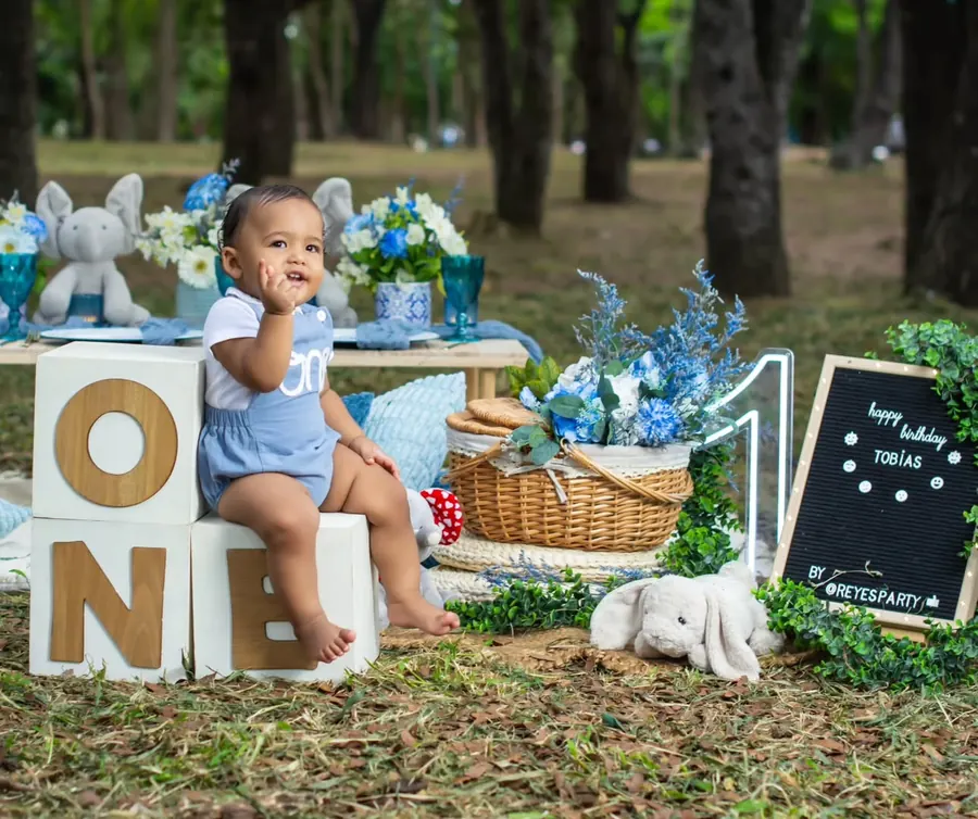 Decoración de cumpleaños al aire libre para Tobías